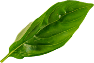 Restaurant Dish